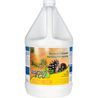 松树油中性清洁剂壶4 L JC007 | TENAQUIP