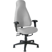 Multi-tilt执行高背办公椅,灰色,250磅。能力OE109 | TENAQUIP