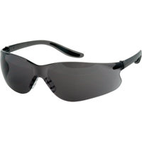 Z500系列安全眼镜,灰色/吸烟镜头,防雾涂层、ANSI Z87 + / CSA Z94.3 SGQ769 | TENAQUIP