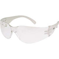 Z600系列安全眼镜,清晰的镜头,防雾涂层/反抓痕,ANSI Z87 + / CSA Z94.3 SGF241 | TENAQUIP
