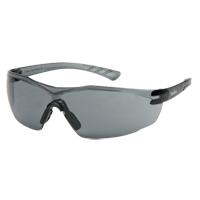 Z700系列安全眼镜,灰色/吸烟镜头,反抓痕涂料、CSA Z94.3 SFU768 | TENAQUIP