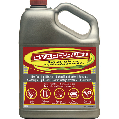 Evapo-Rust®超级安全的除锈剂,壶AH142 | TENAQUIP