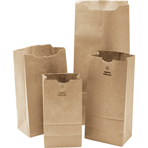 纸袋、纸张、六个半“W x 13-0/0“L NG394 | TENAQUIP