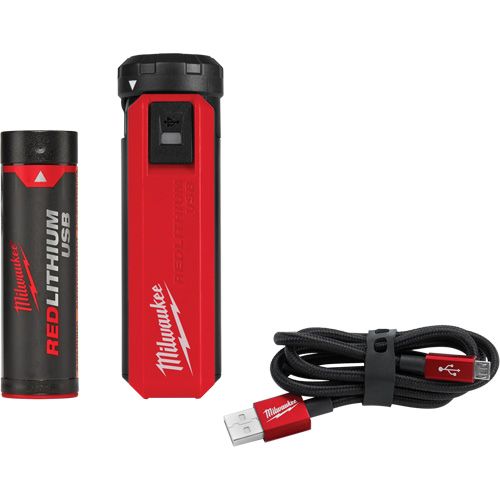 Redlithium USB充电器和电源设备,4 V,锂离子UAG279 | TENAQUIP