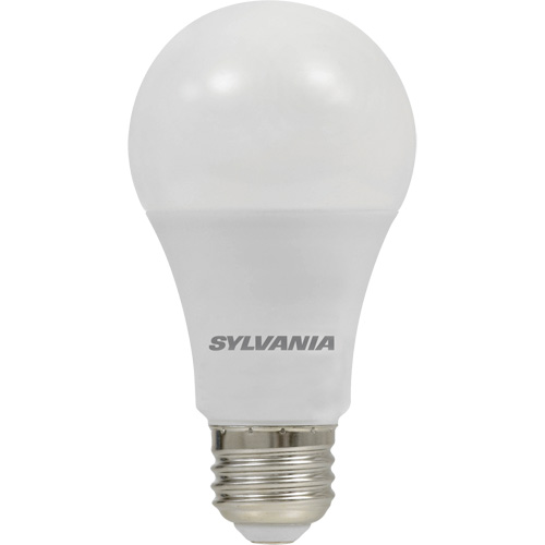 LED灯泡A19 6 W, 450流明,E26媒介基础XI030 | TENAQUIP