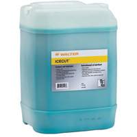 ICECUT™现成的冷却剂和润滑剂,20 L AF009 | TENAQUIP