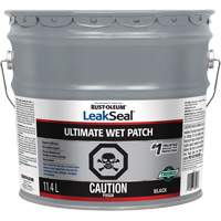 LeakSeal <一口>®< /一口>终极湿屋顶补丁AH043 | TENAQUIP
