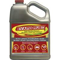 Evapo-Rust <一口>®< /一口>超级安全的除锈剂,壶AH142 | TENAQUIP