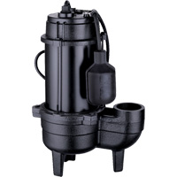 铸铁污水泵,120 V, 9.5 A, 6000加仑小时,1/2惠普DC848 | TENAQUIP