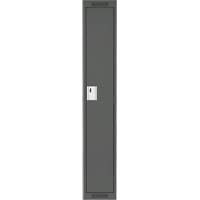 清洁线™储物柜,12“x 18”x 72”,钢铁、木炭、铆钉(组装)FJ369 | TENAQUIP