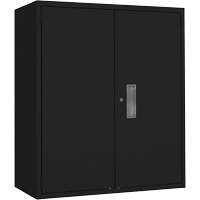 Lo-Boy存储柜、钢铁、2货架,40 W x 18“H x 36 D,黑色FL784 | TENAQUIP
