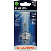9003年SilverStar <一口>®< /一口>超大灯灯泡FLT930 | TENAQUIP