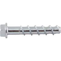楔形螺栓™、碳钢、3/8 x 1-3/4 GBL553 | TENAQUIP