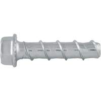 楔形螺栓™、碳钢、5/8“x 3”GBL557 | TENAQUIP