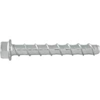 楔形螺栓™、碳钢、5/8“x 5”GBL559 | TENAQUIP