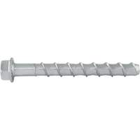 楔形螺栓™、碳钢、5/8“x 6”GBL560 | TENAQUIP