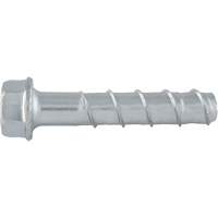 楔形螺栓™、碳钢、3/4“x 4”GBL562 | TENAQUIP