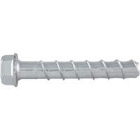 楔形螺栓™、碳钢、3/4“x 5”GBL563 | TENAQUIP