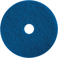 地板维护垫、15”、清洁/擦洗,蓝色JD569 | TENAQUIP