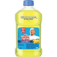 抗菌万能清洁剂,瓶子JL064 | TENAQUIP