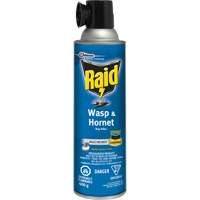 Raid <一口>®< /一口>黄蜂&大黄蜂Bug杀手,400克,溶剂基JL959 | TENAQUIP