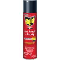 Raid <一口>®< /一口>蚂蚁,蟑螂和蠼螋昆虫杀手,350克,溶剂基JL960 | TENAQUIP
