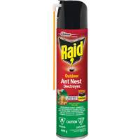 Raid <一口>®< /一口>户外蚁巢驱逐舰杀虫剂,400克,喷雾罐JM262 | TENAQUIP