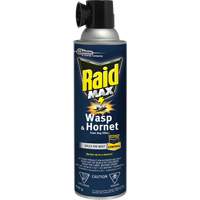 Raid <一口>®< /一口> Max <一口>®< /一口>黄蜂&大黄蜂泡沫Bug杀手,500克,喷雾罐,溶剂基地JM267 | TENAQUIP