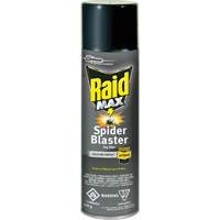 Raid <一口>®< /一口> Max <一口>®< /一口>蜘蛛导火线Bug杀手杀虫剂,500克,喷雾罐,溶剂基地JM270 | TENAQUIP