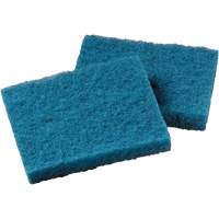 不粘炊具清洁垫、擦洗、5-1/4”W x 4“L JN223 | TENAQUIP