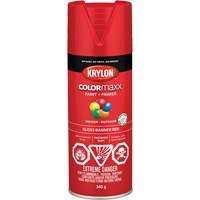 COLORmaxx防锈剂搪瓷,红色光泽12盎司,喷雾罐KR736 | TENAQUIP