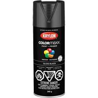 COLORmaxx防锈剂搪瓷,黑色光泽12盎司,喷雾罐KR737 | TENAQUIP