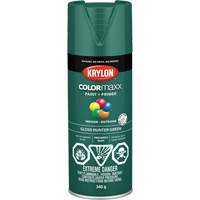 COLORmaxx™喷漆,绿色光泽,12盎司,喷雾罐KR743 | TENAQUIP