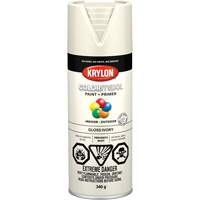 COLORmaxx™喷漆,白色,光泽,12盎司,喷雾罐KR744 | TENAQUIP