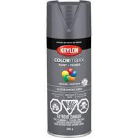 COLORmaxx™喷漆、灰色光泽12盎司,喷雾罐KR750 | TENAQUIP