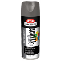 Acryli-Quik™维修喷漆,灰色,非常平坦,12盎司,喷雾罐NA449 | TENAQUIP