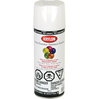 Acryli-Quik™喷漆,白色,半光的,12盎司,喷雾罐NA461 | TENAQUIP