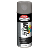 Acryli-Quik™维修喷漆,灰色光泽,12盎司,喷雾罐NA469 | TENAQUIP