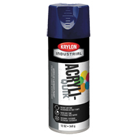 Acryli-Quik™维修喷漆,蓝色,光泽,12盎司,喷雾罐NA484 | TENAQUIP