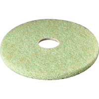 5000背线Pre-Burnish垫,20”,抛光/清洁/擦洗,棕色/绿色NC646 | TENAQUIP