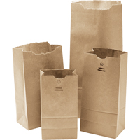 纸袋、纸张、5-1/4”W x 10 1/2“L NG393 | TENAQUIP