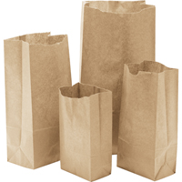 纸袋、纸张、6-1/4”W x 12-1/2“L NG404 | TENAQUIP