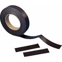 磁带的标签、磁性、600年“L x 2”W OJ941 | TENAQUIP