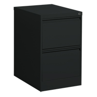 垂直文件柜、钢铁、2个抽屉,18-1/7 dx 29“25 W x H,黑色OP913 | TENAQUIP