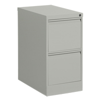 垂直文件柜、钢铁、2个抽屉,15-1/7 dx 29“25 W x H,灰色OP916 | TENAQUIP