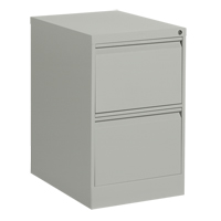 垂直文件柜、钢铁、2个抽屉,18-1/7 dx 29“25 W x H,灰色OP917 | TENAQUIP