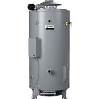 BTRC Master-Fit <一口>®< /一口>天然气热水器,288 L容量,199000热量,排气口PUM381 | TENAQUIP