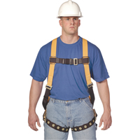 米勒<一口>®< /一口> T-Flex泰坦™柔性吊带,CSA认证,A类,400磅。帽。SAK298 | TENAQUIP
