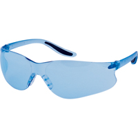 Z500系列安全眼镜,蓝色镜片,反抓痕涂料、ANSI Z87 + / CSA Z94.3 SAS364 | TENAQUIP