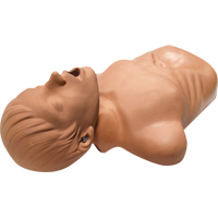 AED训练人体模特,海关AED + <一口>®< /一口> /海关AED 3™,非医疗SAX742 | TENAQUIP
